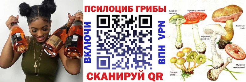 Купить Среднеколымск Псилоцибиновые грибы мухоморы